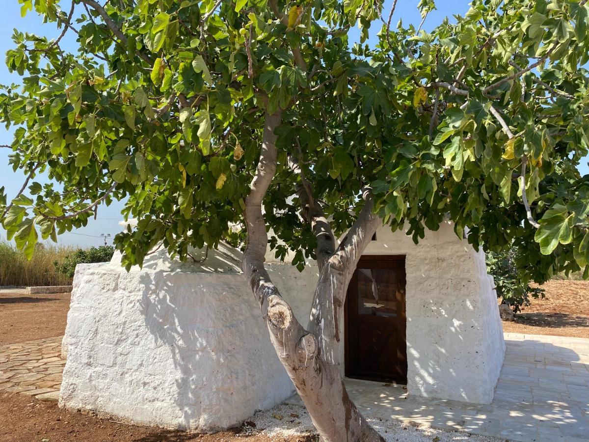 Villa Trullo Seaside Polignano Polignano a Mare Exterior foto